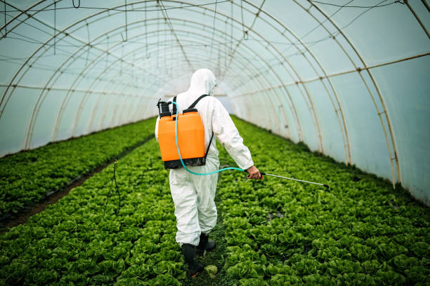 Best Best Pest Control Companies  in Pocono Springs, PA