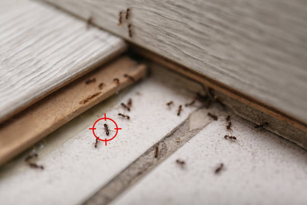 Best Exterminator Services  in Pocono Springs, PA