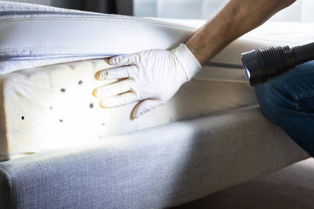 Best Insect Control  in Pocono Springs, PA