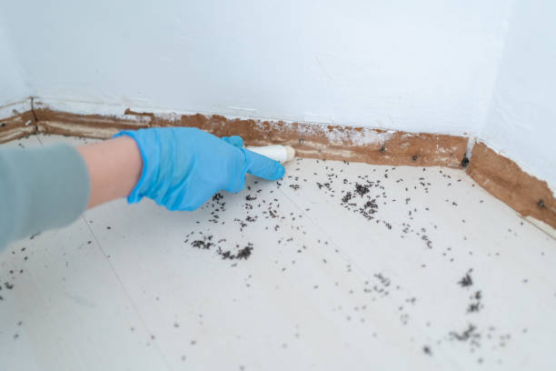 Best Wildlife Control Services  in Pocono Springs, PA