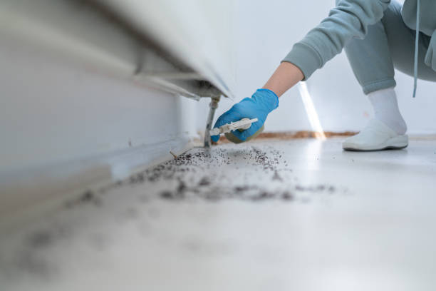 Pest Prevention Services in Pocono Springs, PA